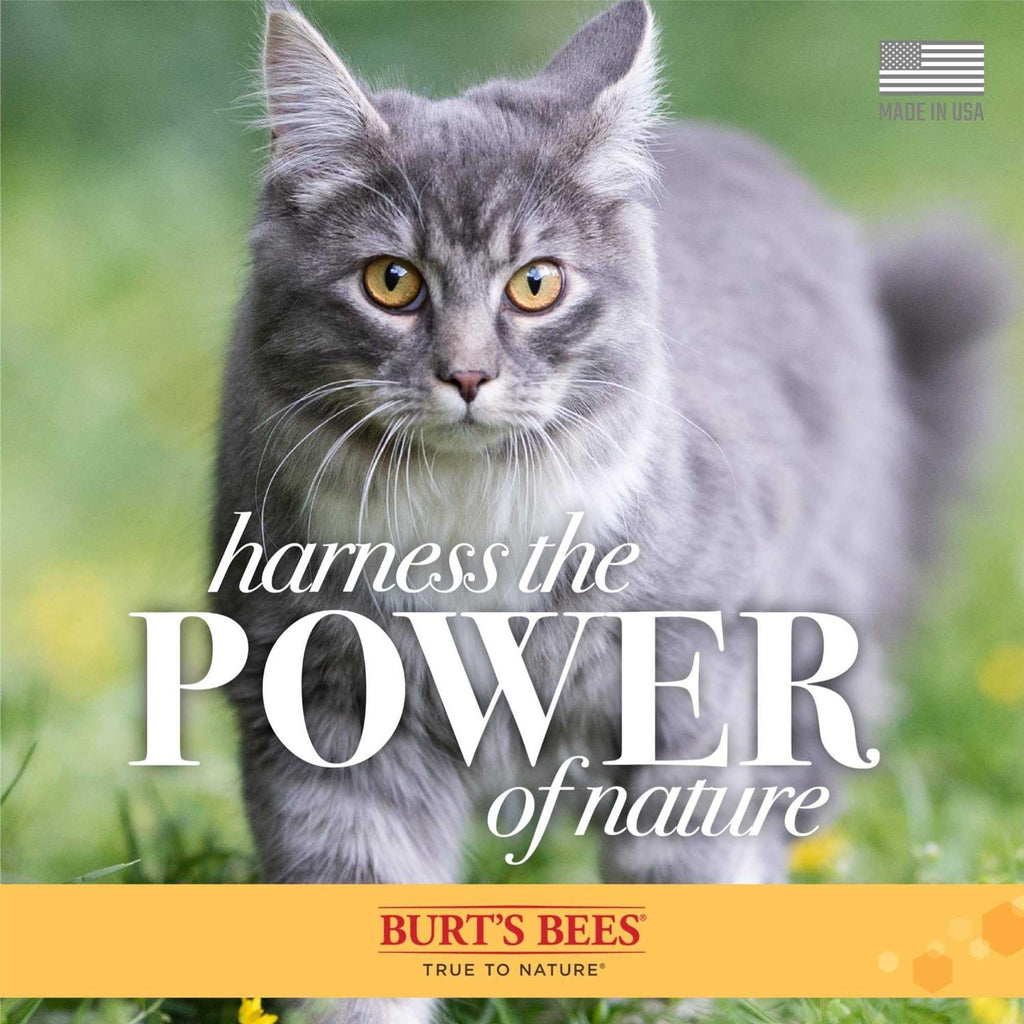 Waterless Cat Shampoo H778656