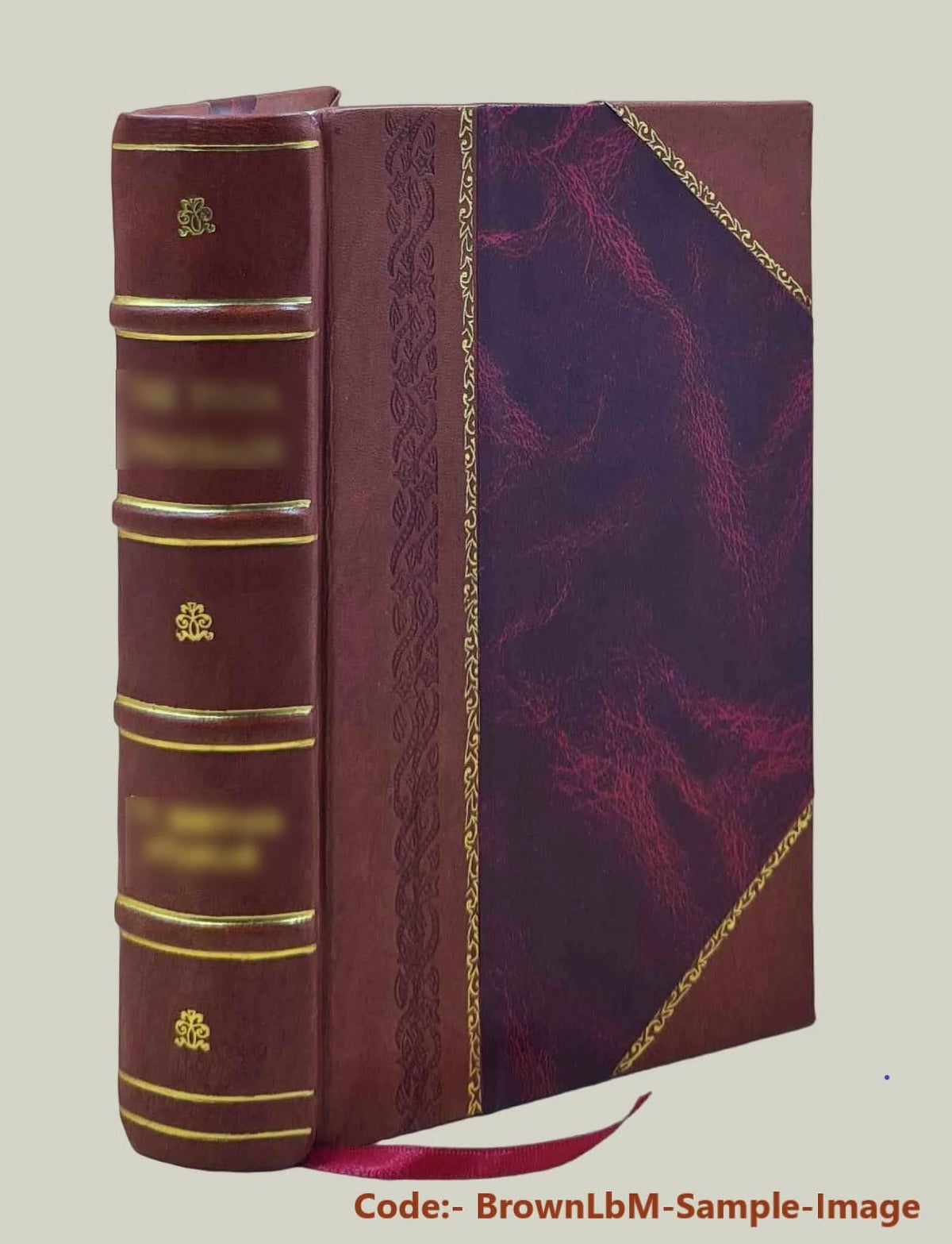 Leather Bound Bible E14369
