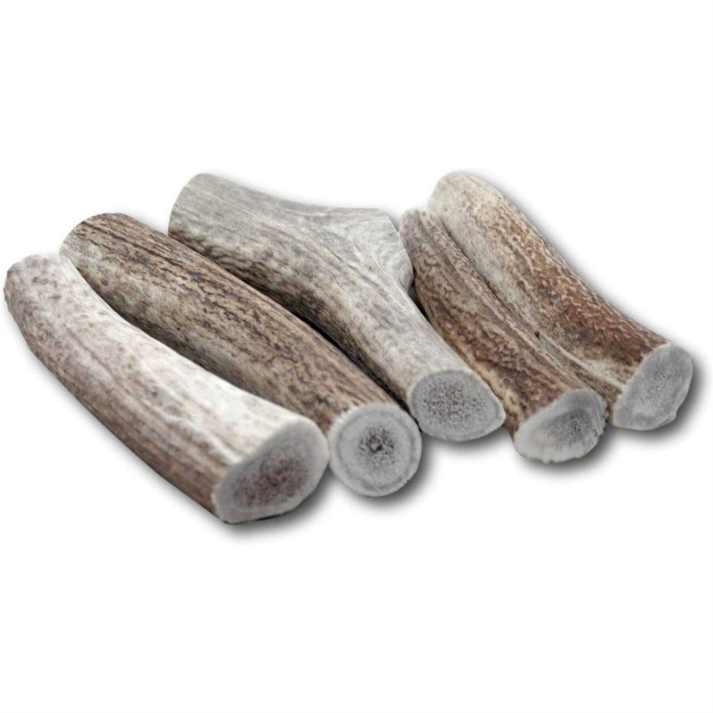 Large Thick Elk Antler 5 Pack Dog Chew Treat I5822