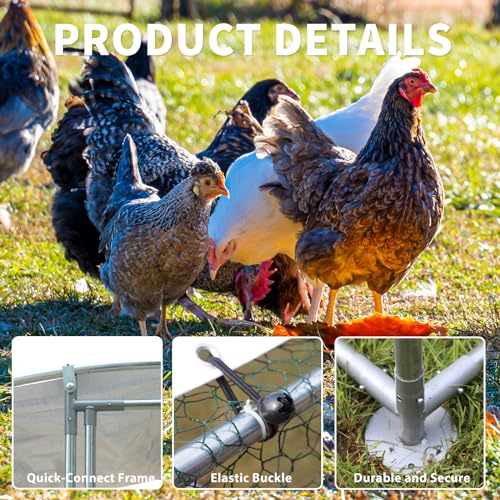 Large Metal Walk-in Chicken Coop with Anti-UV Cover D8276