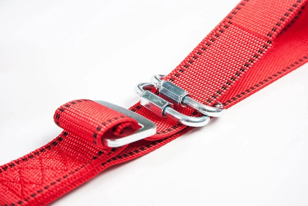 Comfort Safety Dog Harness B5541