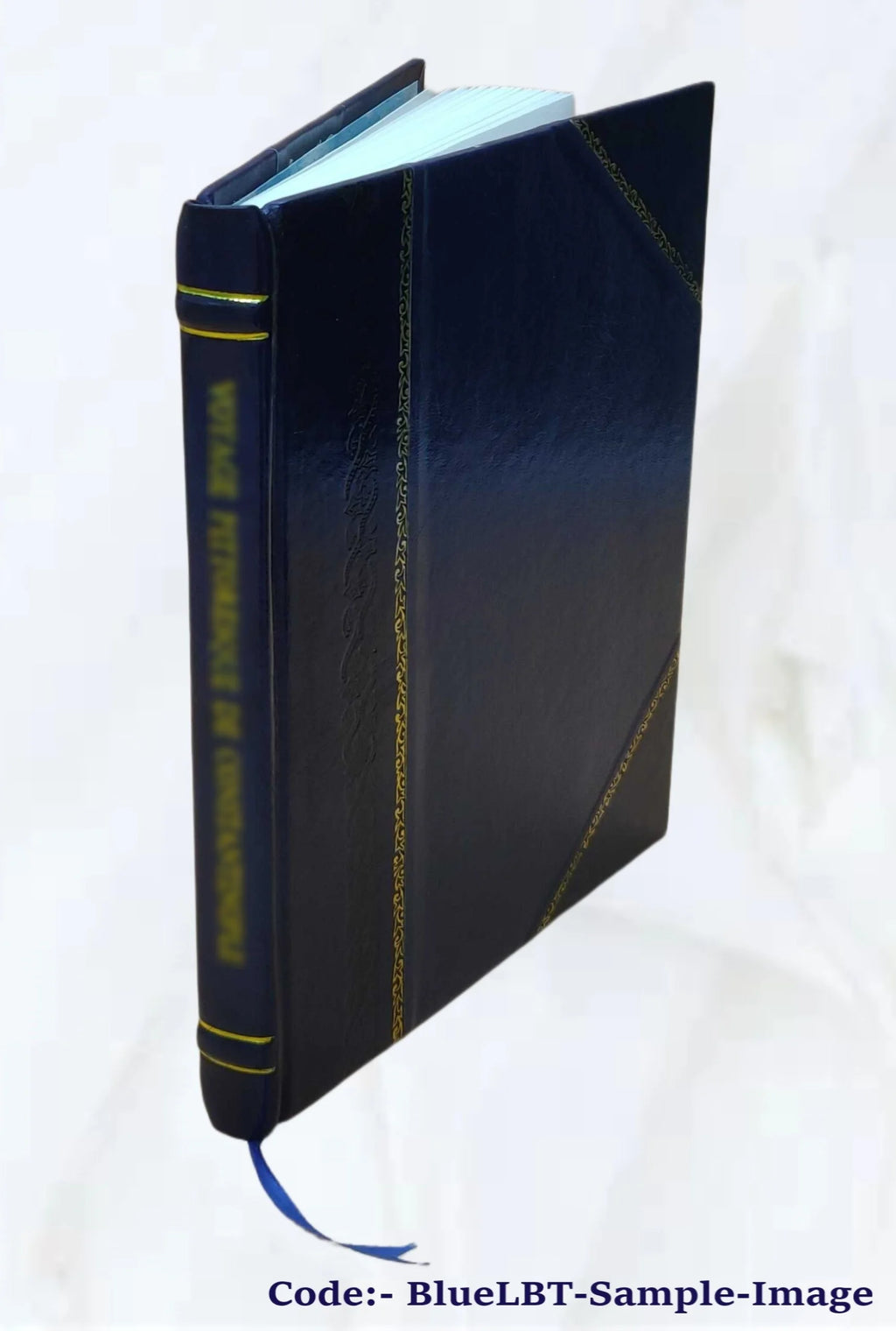 Leather Bound Book U9387