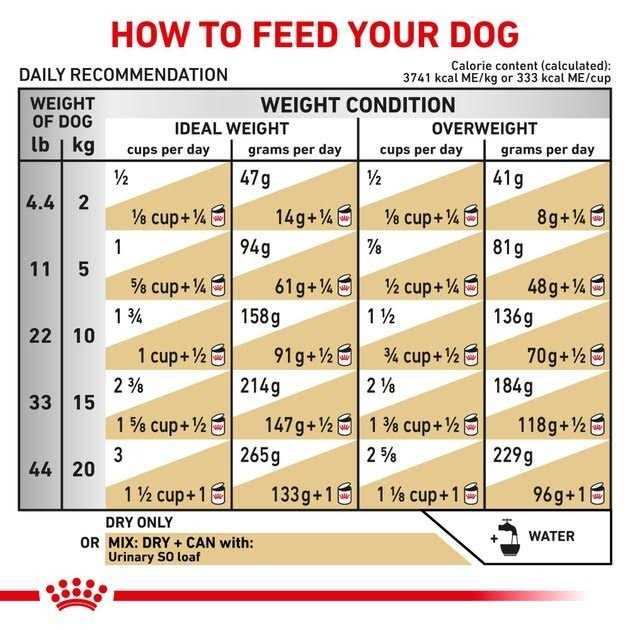 Veterinary Diet Urinary SO Dry Dog Food B687
