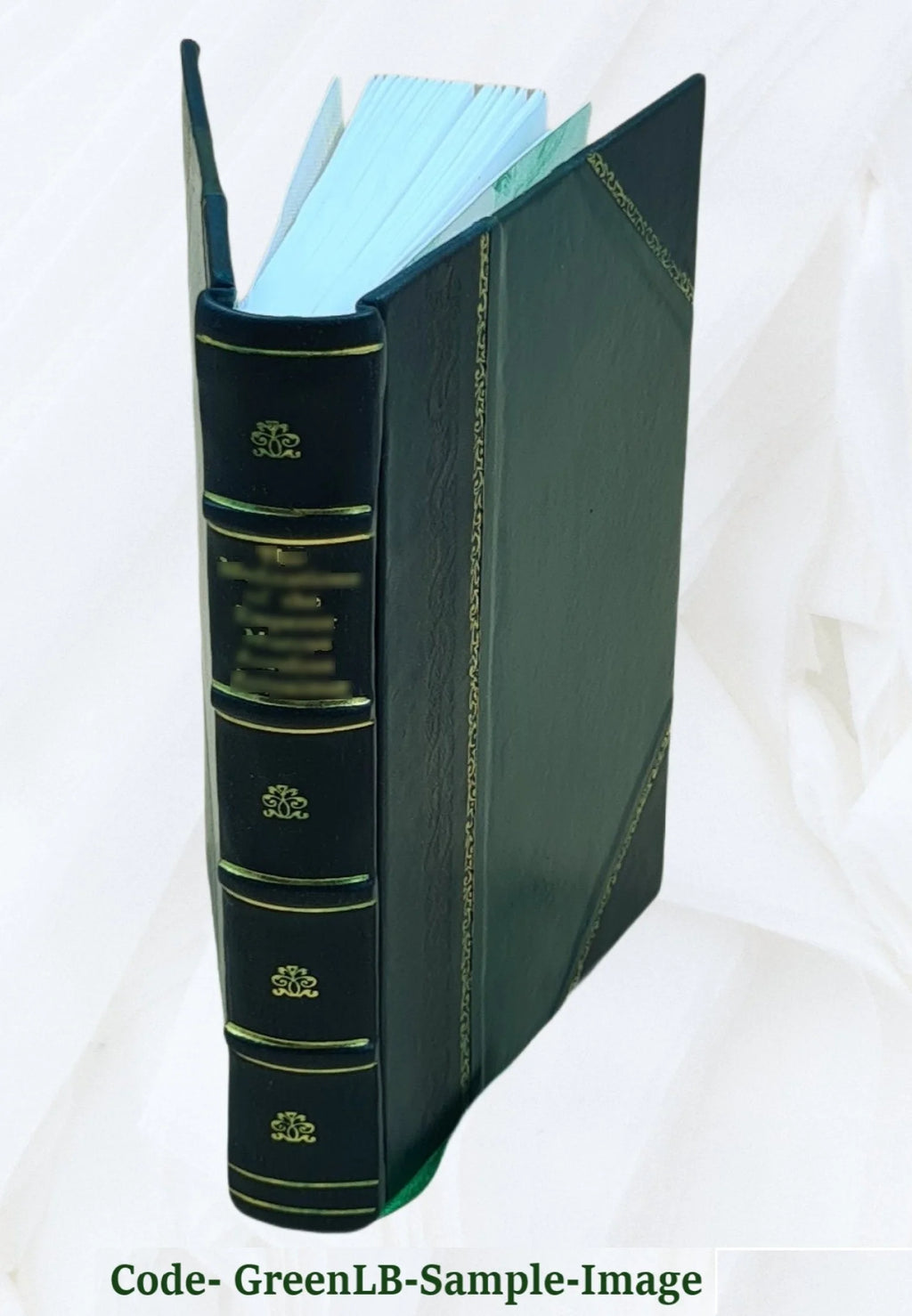 Leather Bound B51445