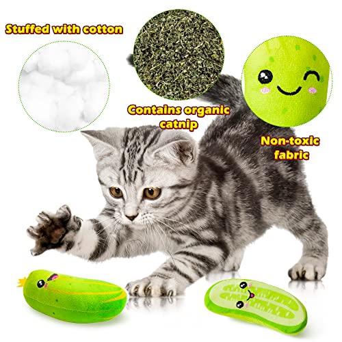 5Pcs Catnip Cat Toys Z409650