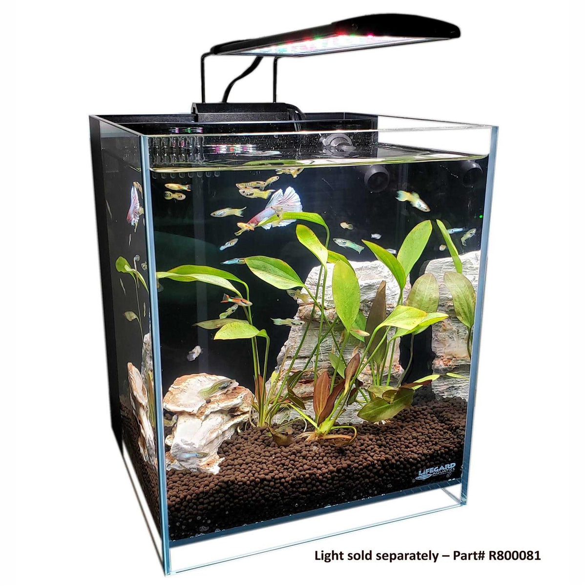 Ultra Low Iron Glass Aquarium with Filter U8117