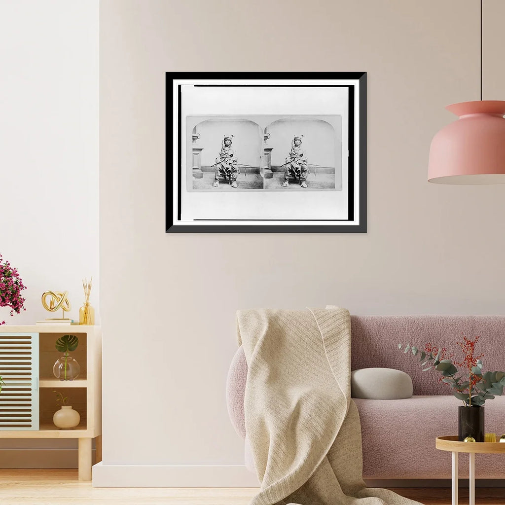 Framed Print N8941
