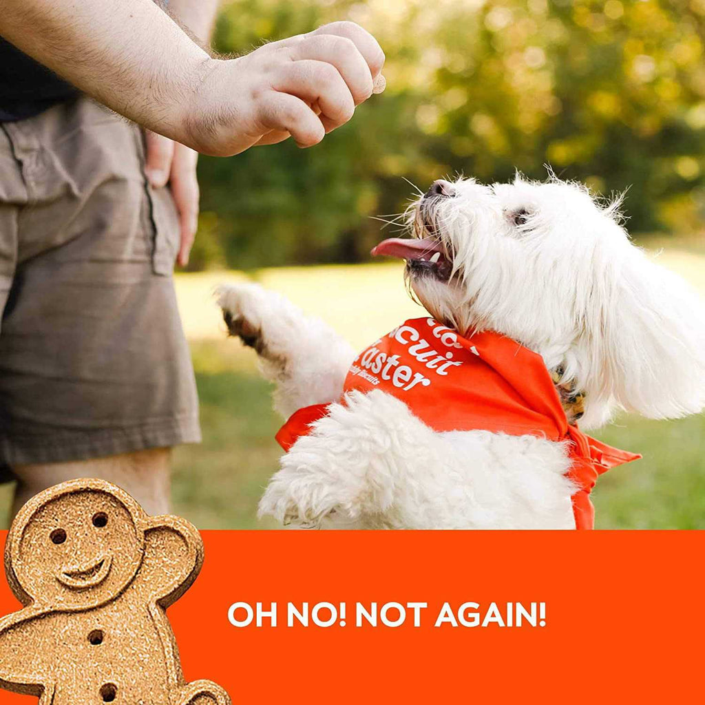 Peanut Butter Soft and Chewy Dog Treats X376