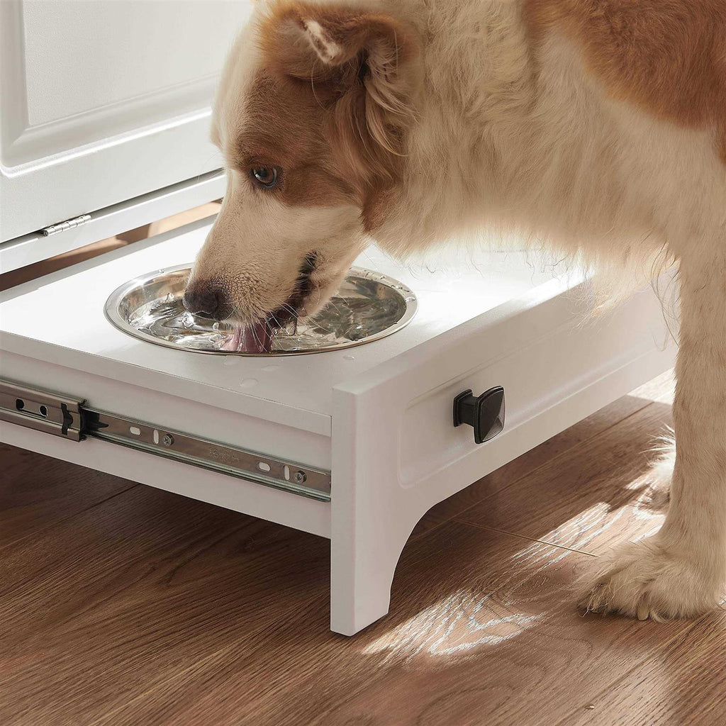 Modern Pet Feeding Station with 2 Elevated Dog Bowls Q1879