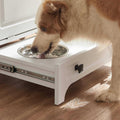 Modern Pet Feeding Station with 2 Elevated Dog Bowls Q1879