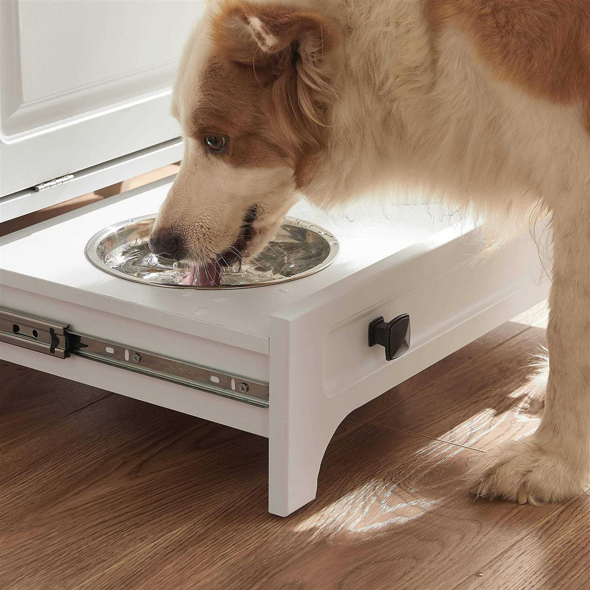 Modern Pet Feeding Station with 2 Elevated Dog Bowls Q1879