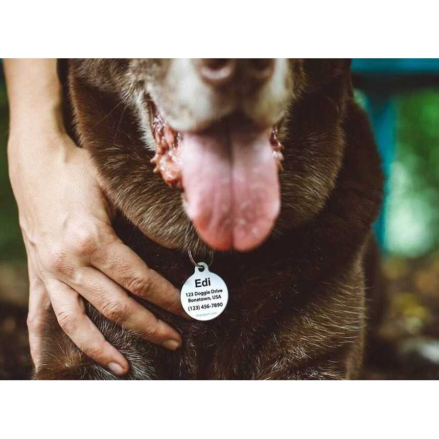 Microchip Alert Personalized Dog & Cat ID Tag T5087