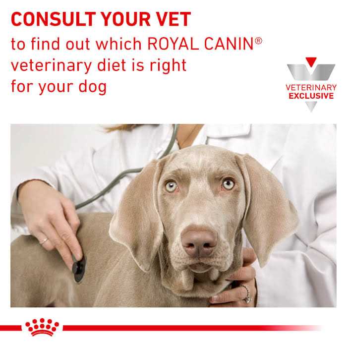 Canine Renal Support Canned Dog Food K952232