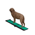 Bi-Fold Travel Lite Pet Ramp K308457