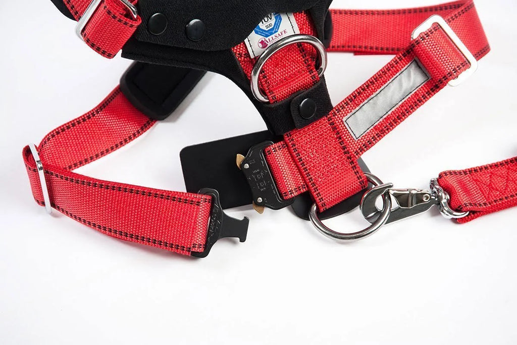 Comfort Safety Dog Harness B5541