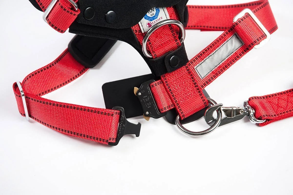 Comfort Safety Dog Harness B5541