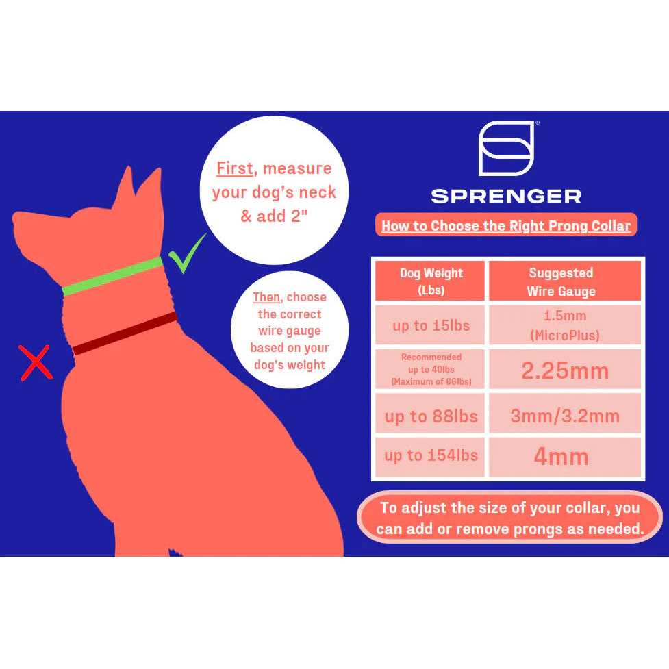 Stainless Dog Prong Training Collar C83985