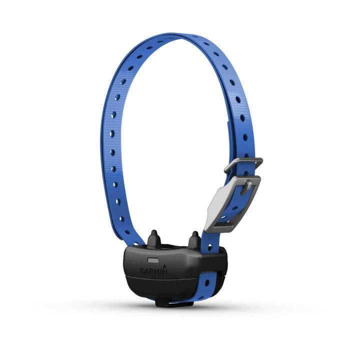 Dog Collar O207197