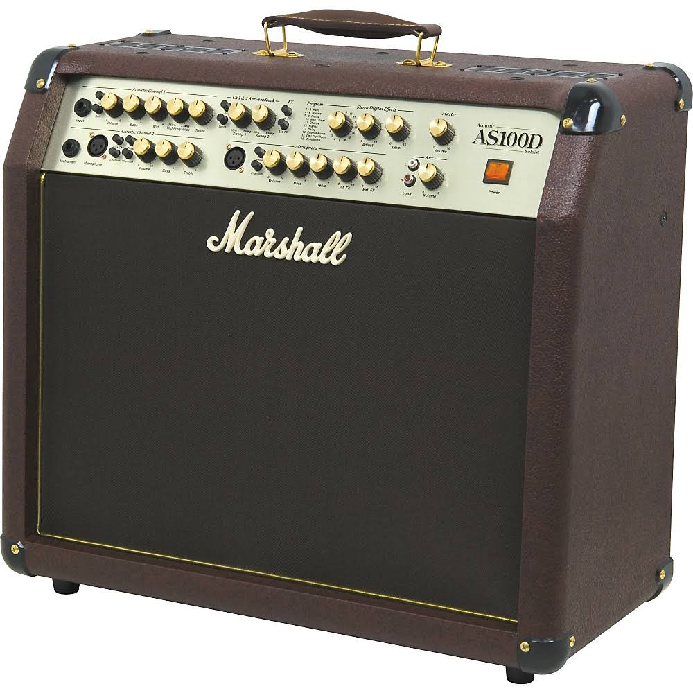 2x8 Acoustic Combo Amp J16973