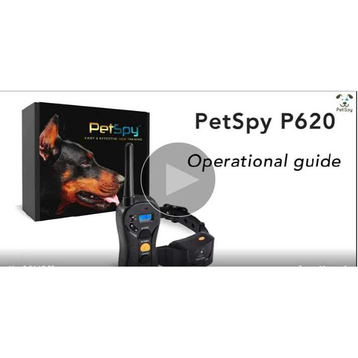 Dog Training Shock Collar for 2 Dogs with Vibration Electric Shock S676