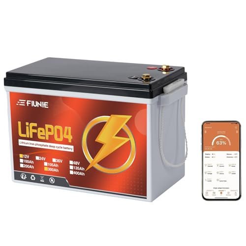 12V 100Ah LiFePO4 Deep Cycle Battery with Bluetooth U7628