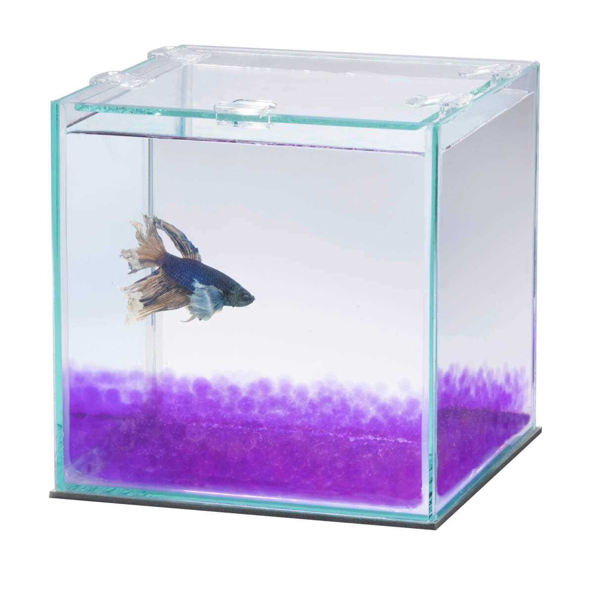Betta Beads L625
