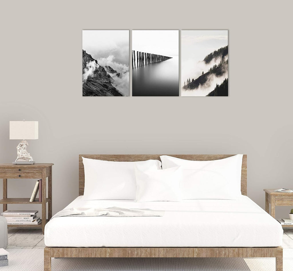 Black and White Canvas Wall Art J87608
