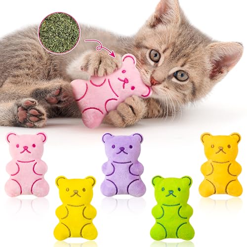 5Pcs Catnip Cat Toys Z409650