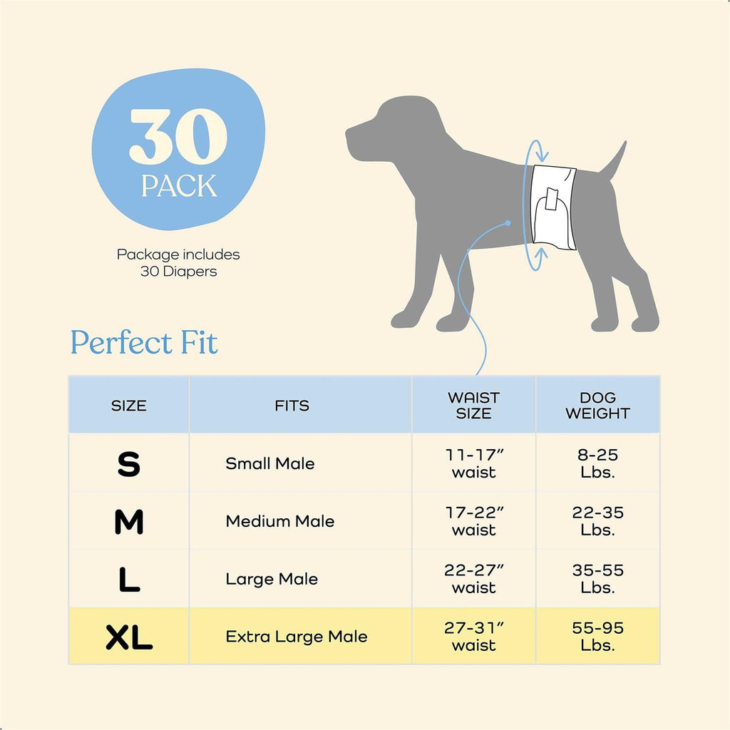 Comfortable Super Absorbent Disposable Male Dog Diapers 30-Pack U60713