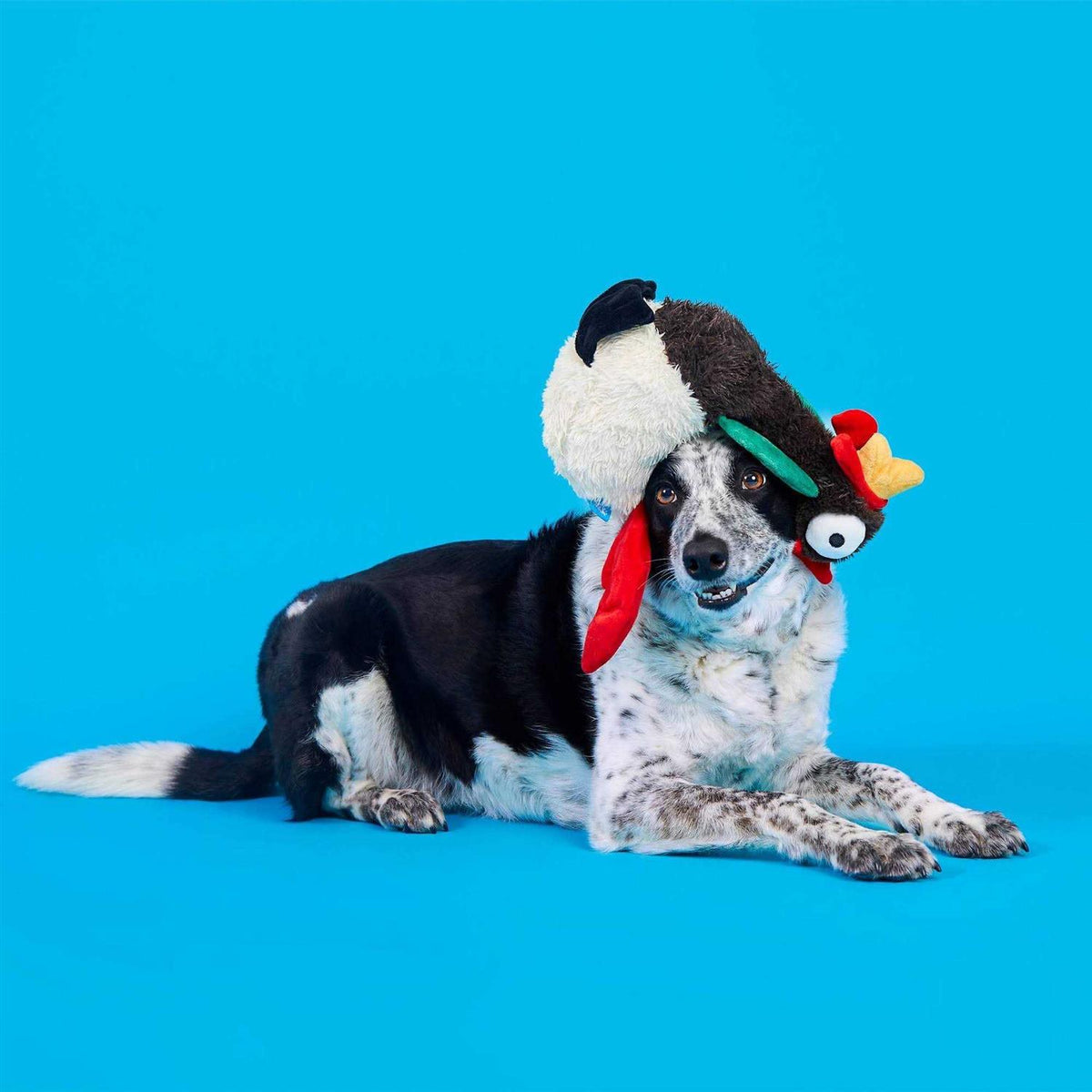 Dog Toy T42847