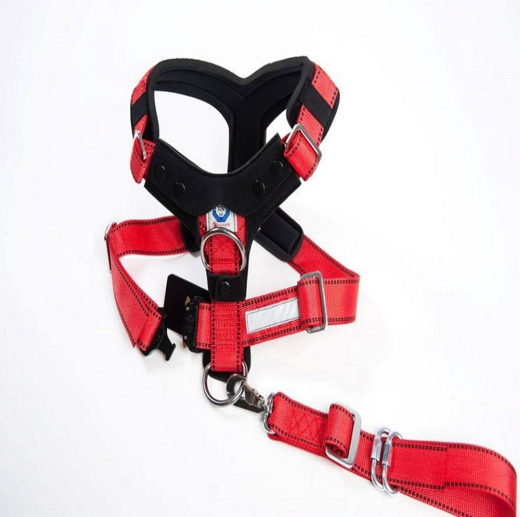 Comfort Safety Dog Harness B5541