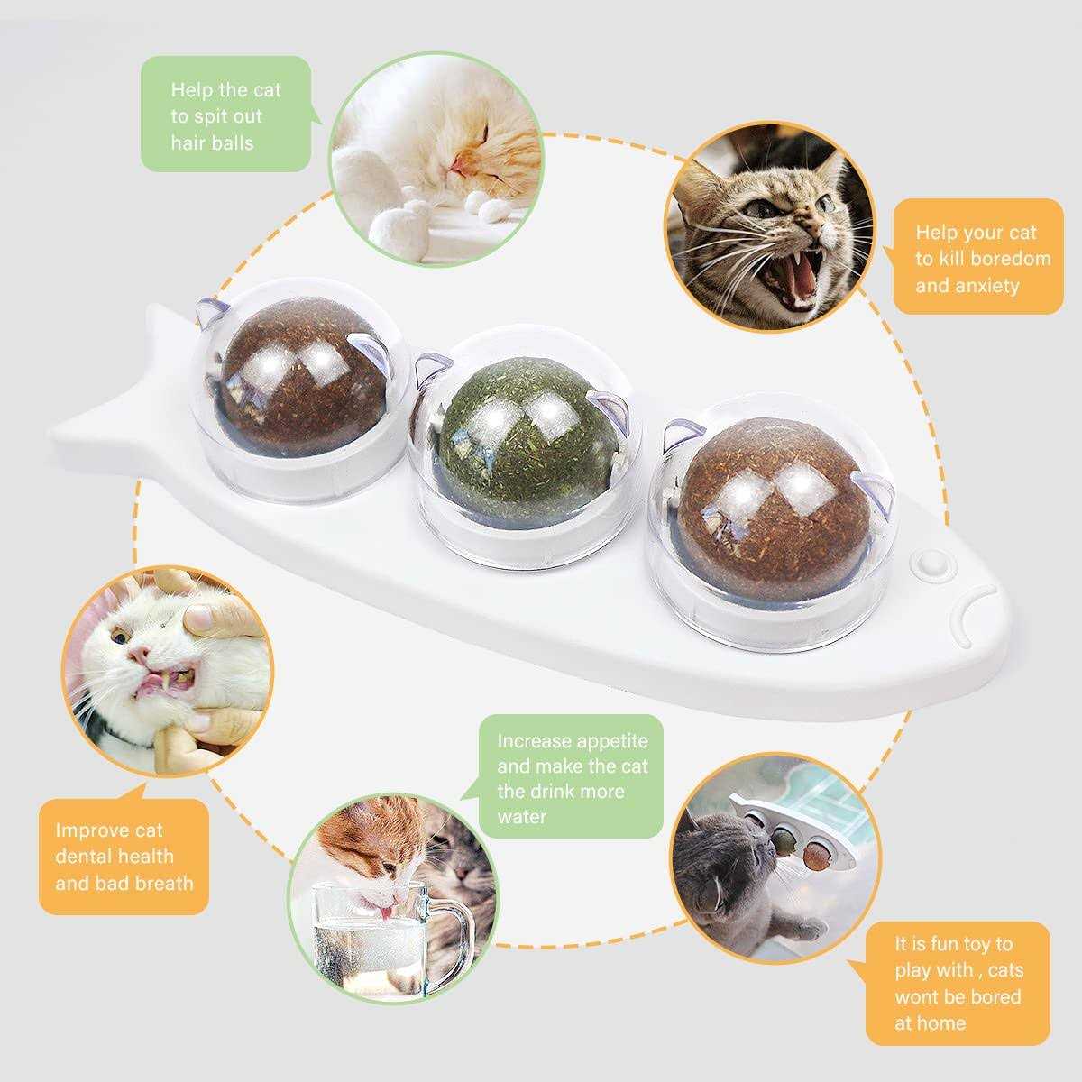 Catnip Wall Balls Toys for Cats E84799