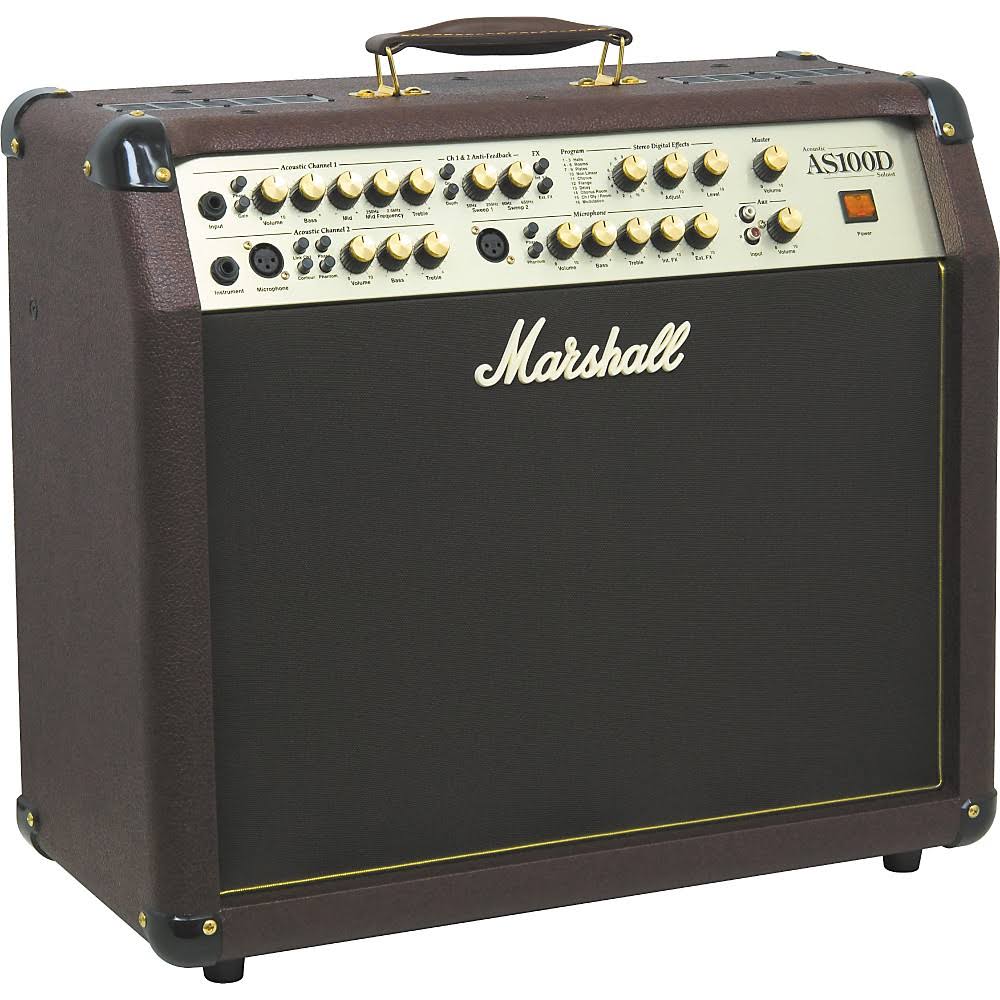 2x8 Acoustic Combo Amp J16973