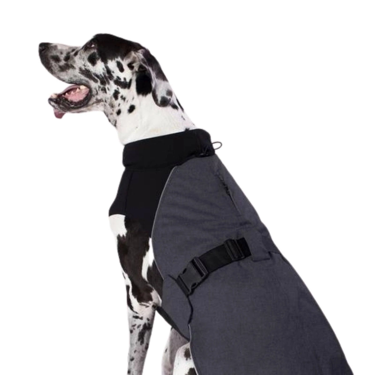 Charcoal Dog Coat A390