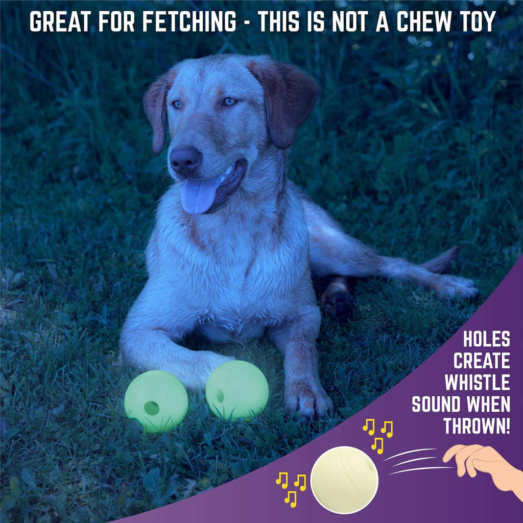 Glow Ball Dog Toys J218377