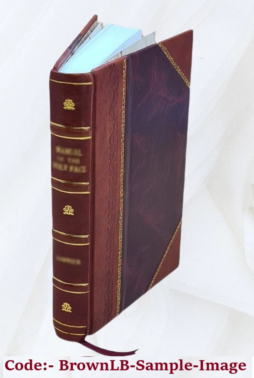 Leather Bound Book S380