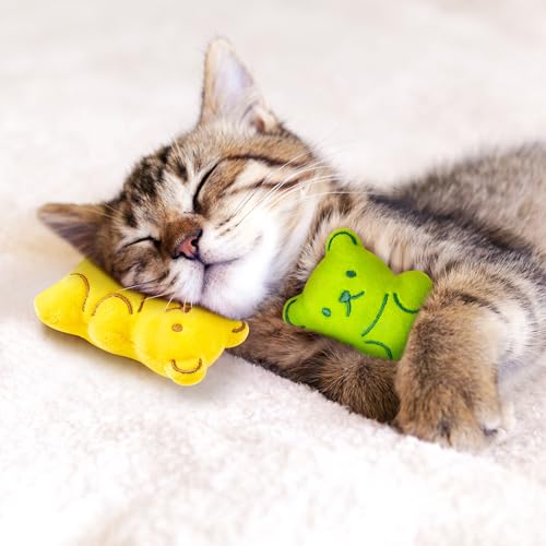 5Pcs Catnip Cat Toys Z409650