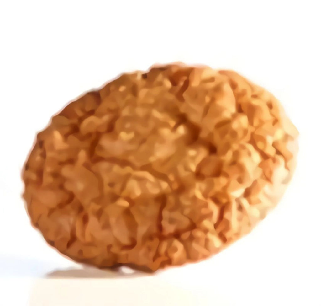 Gluten Free Coconut Macaroon Cookies, 1.4 Oz (24 Pack) X470