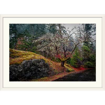 Photographic Print White Frame 28x22 H x 38x22 W x 1x22 D B1723