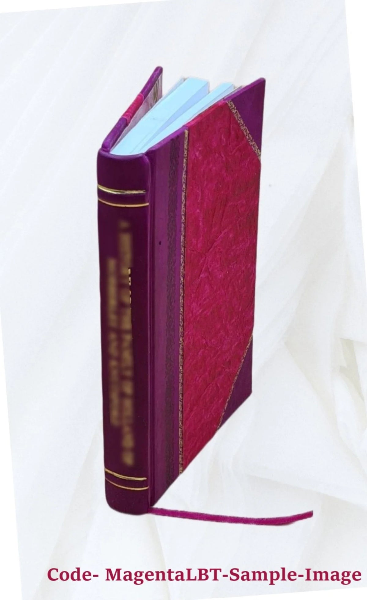 Leather Bound Book T545523