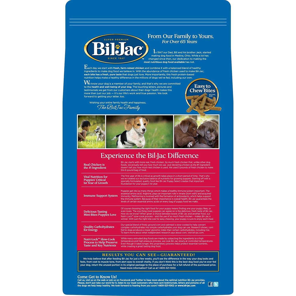 Chicken Puppy Dry Dog Food J764436