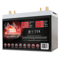 Group 65 AGM Battery S466903