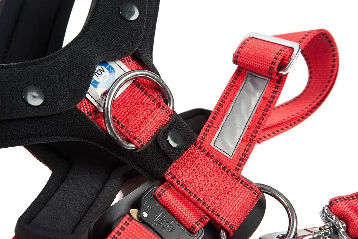 Comfort Safety Dog Harness B5541