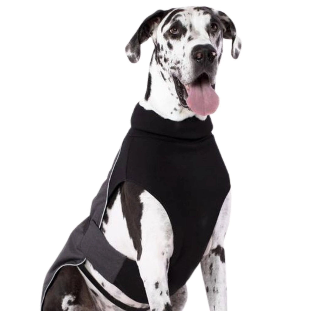 Charcoal Dog Coat A390