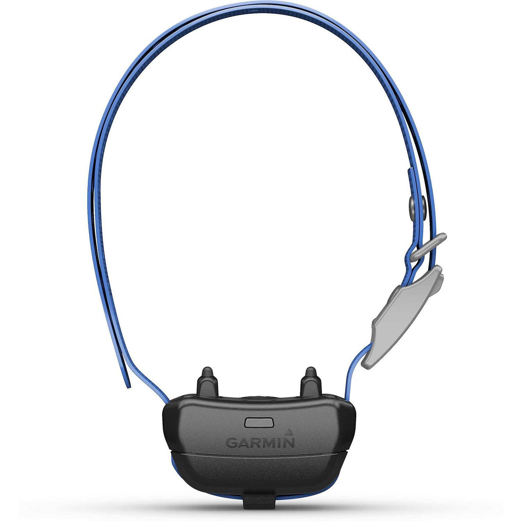 Dog Collar O207197