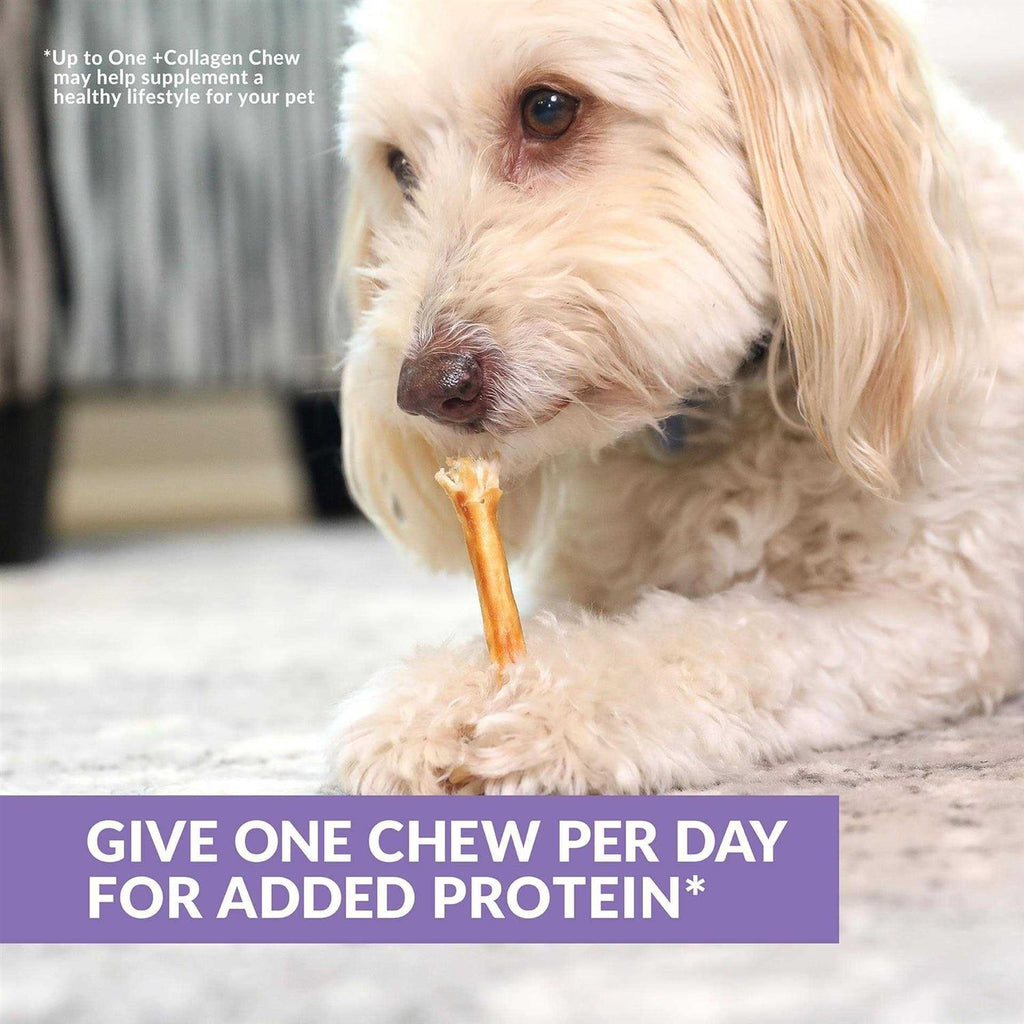 Beef Collagen Sticks Dog Chews K614988
