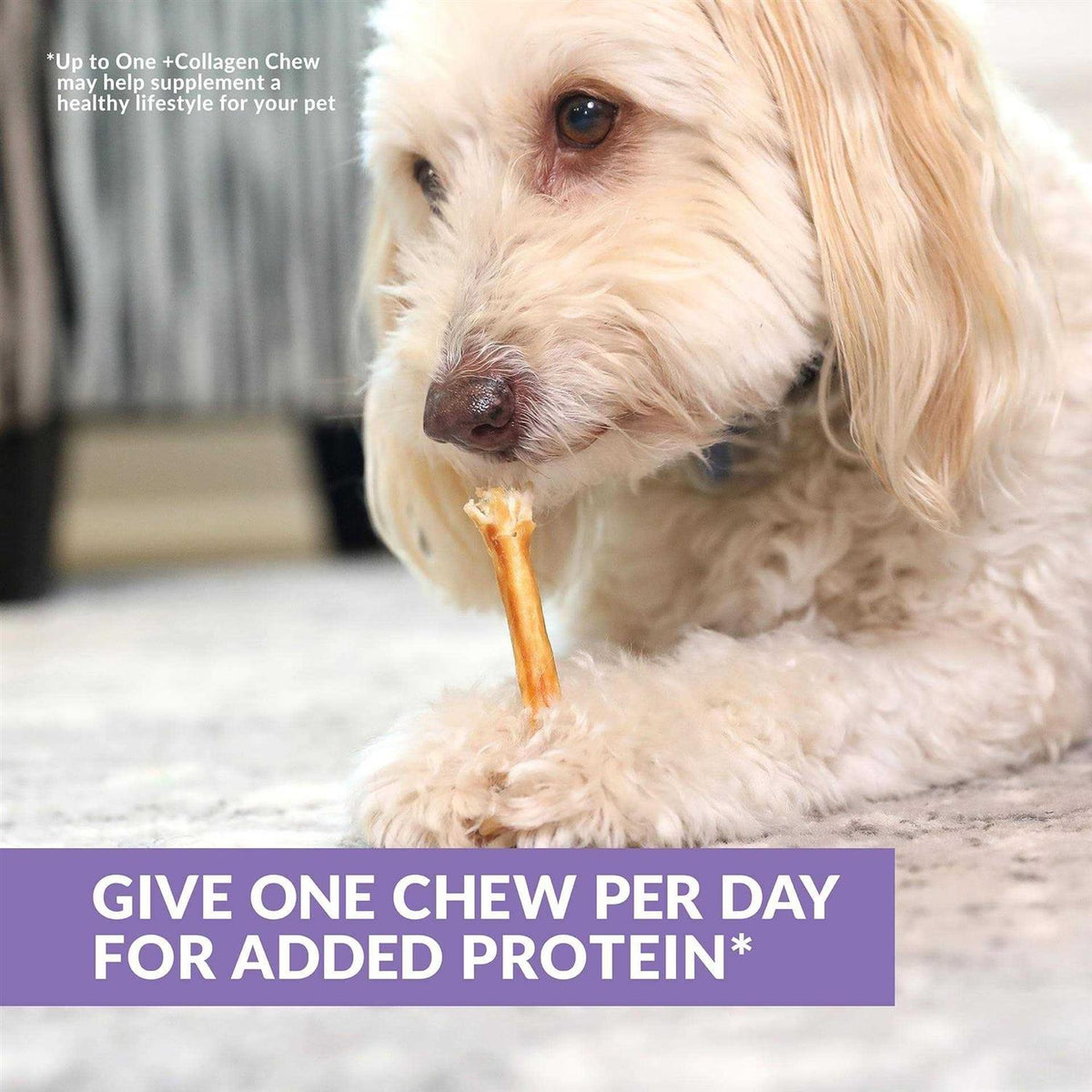 Beef Collagen Sticks Dog Chews K614988