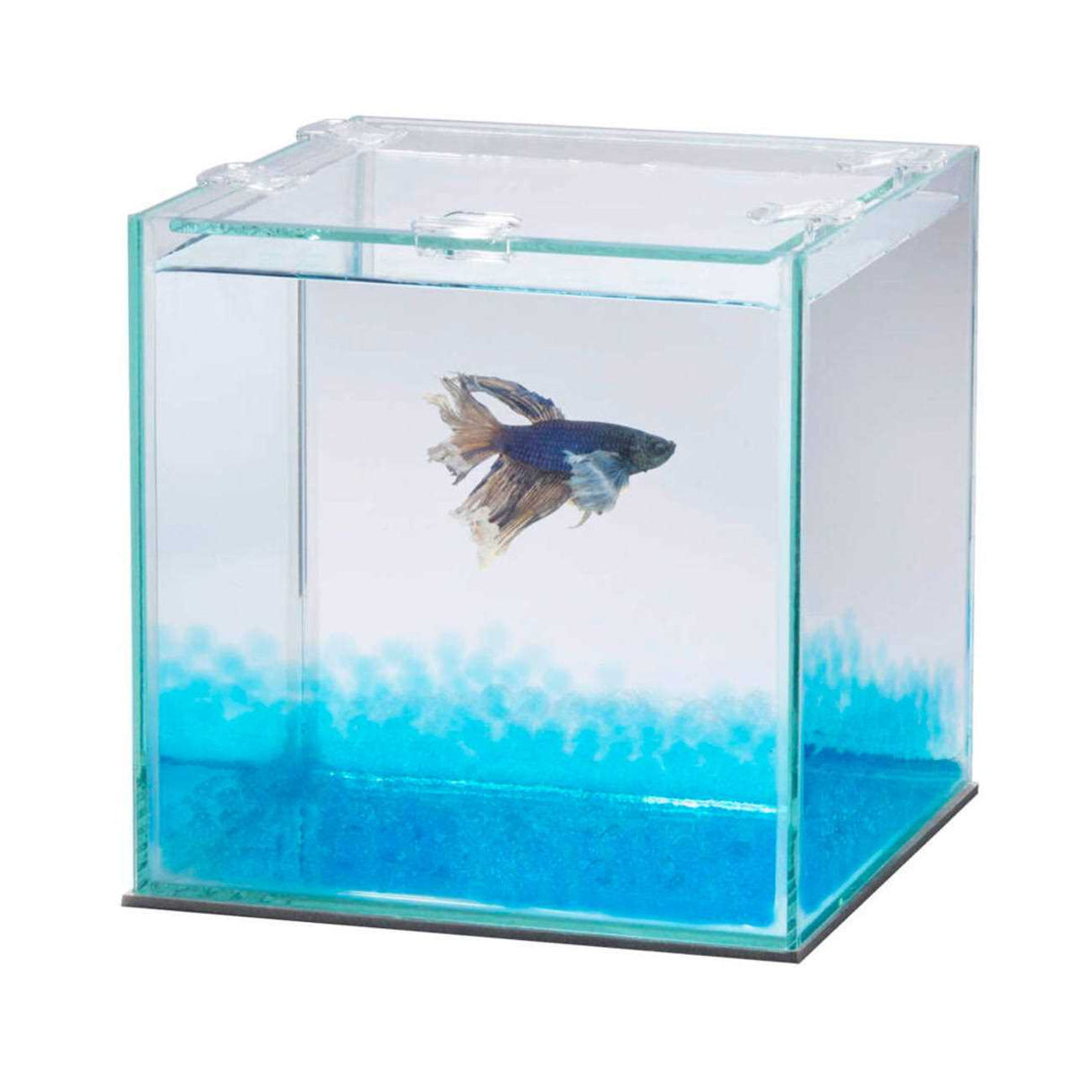 Betta Beads L625