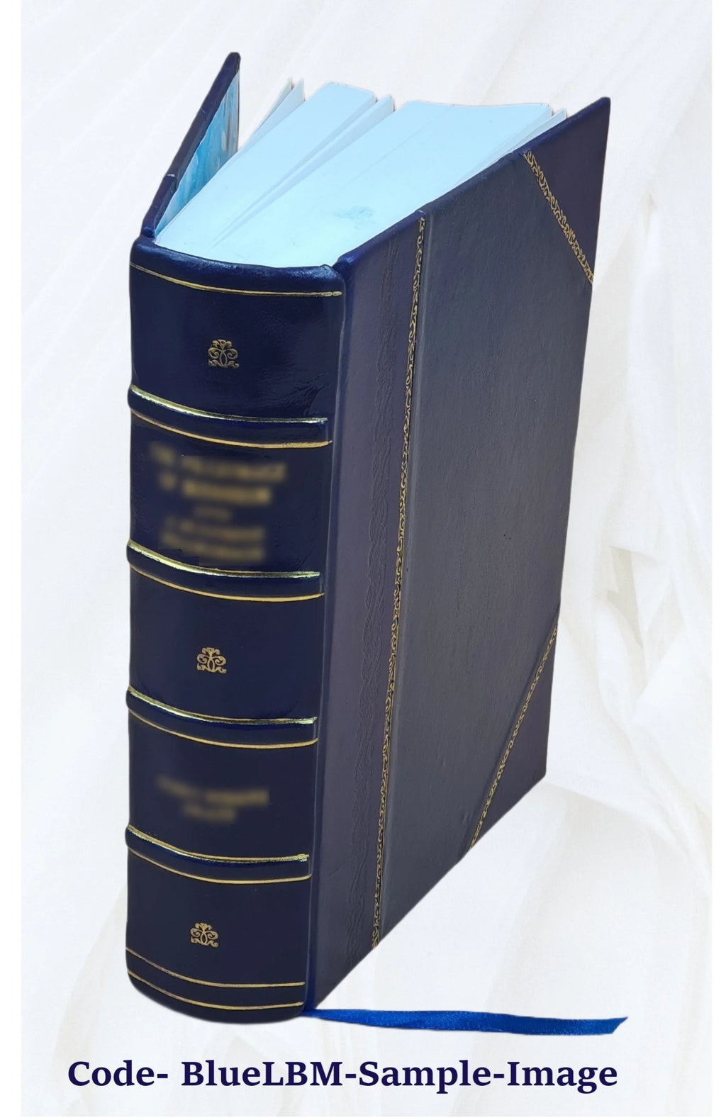Leather Bound Bible E14369