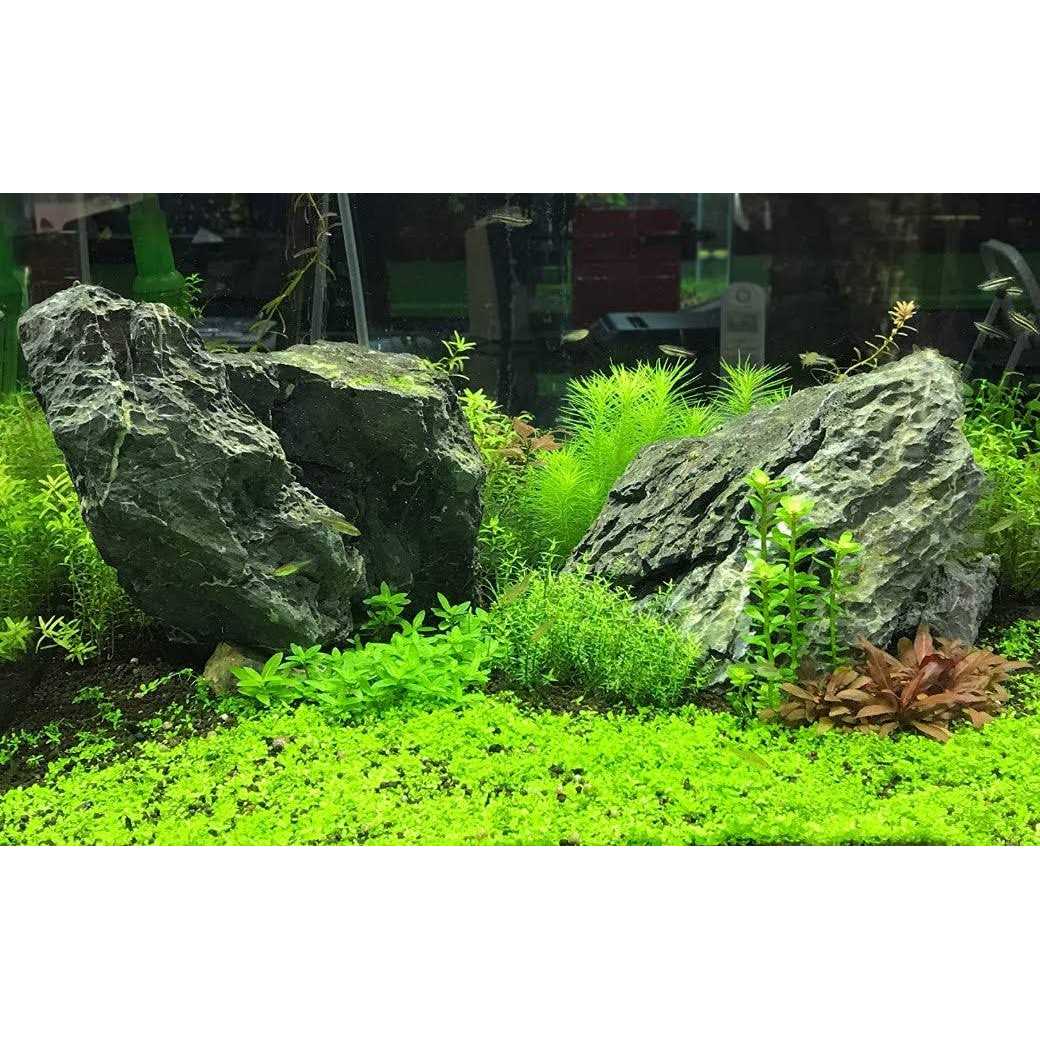 Potassium Pet Supplies F20592